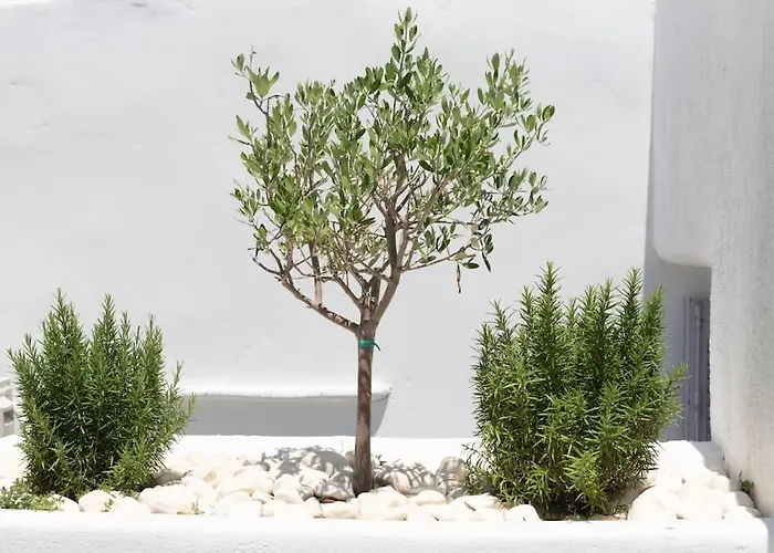 Swell S3 New In Διαμέρισμα *