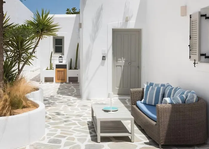 Swell S3 New In * ナウサ